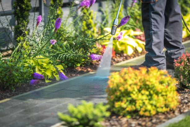 Reliable Garfield, NJ Pressure Washing Services Solutions